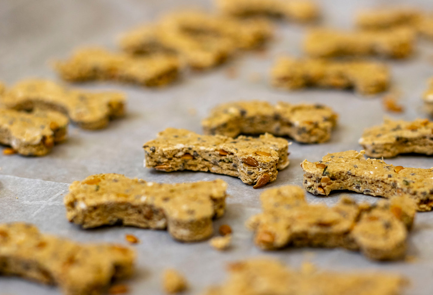Bake-At-Home Dog Treat Kit