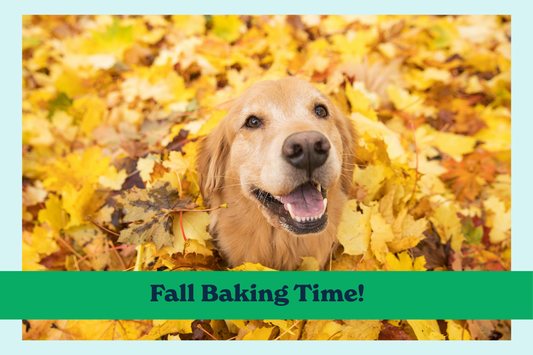 The Baking Ritual, Now That the Kitchen's Warm Again