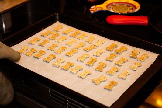 What's Actually in Your Dog's Store-Bought Treats?