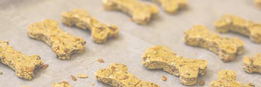 Dog Treats for Sensitive Stomachs: What to Look For (and How to Make Your Own)