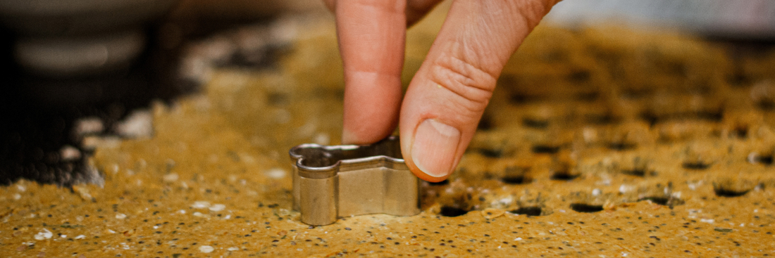 Why Bake Your Dog's Treats at Home? (And Why a Kit Makes It Actually Easy)