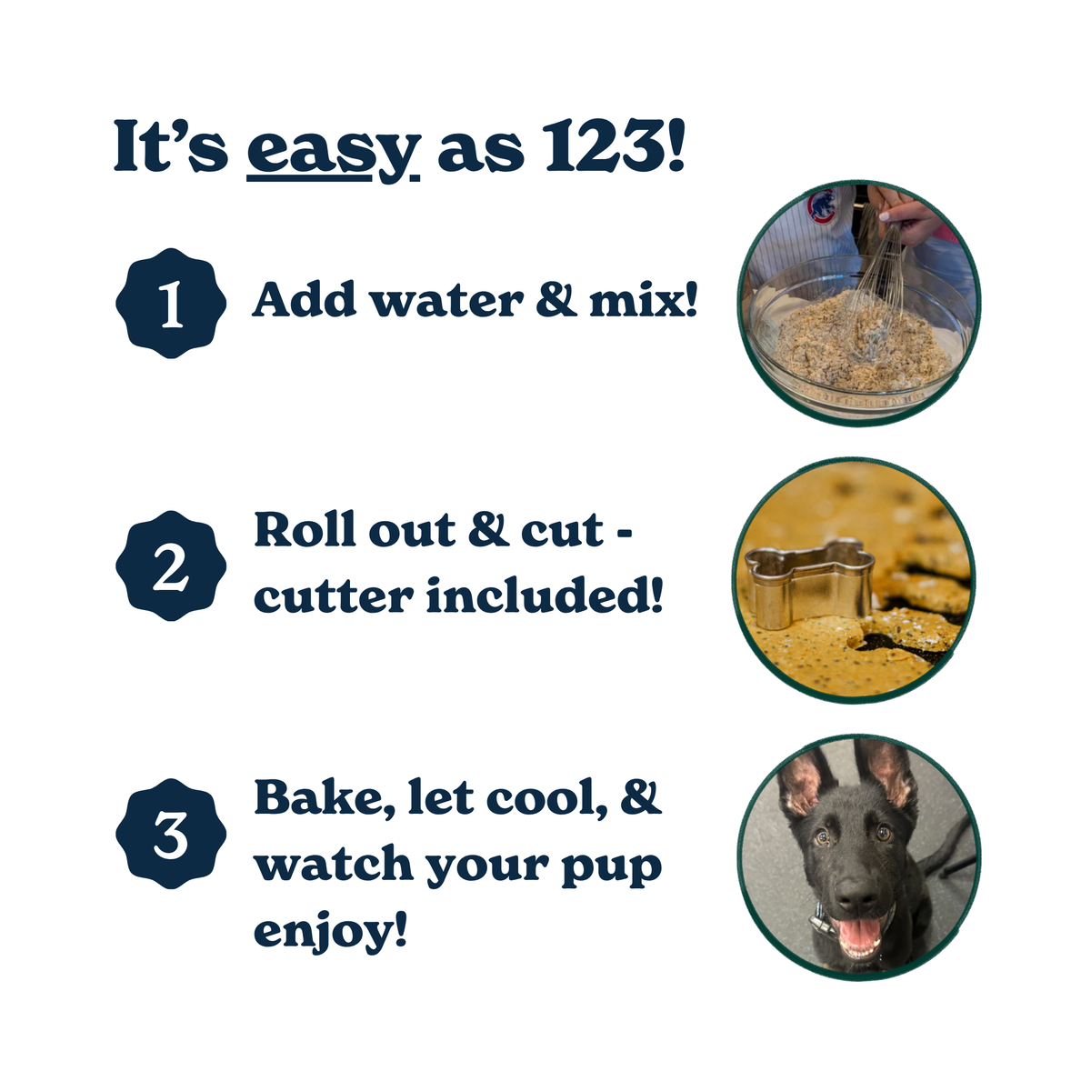 Graphic showing the fun of baking Peanut Butter dog treats at home with your dog