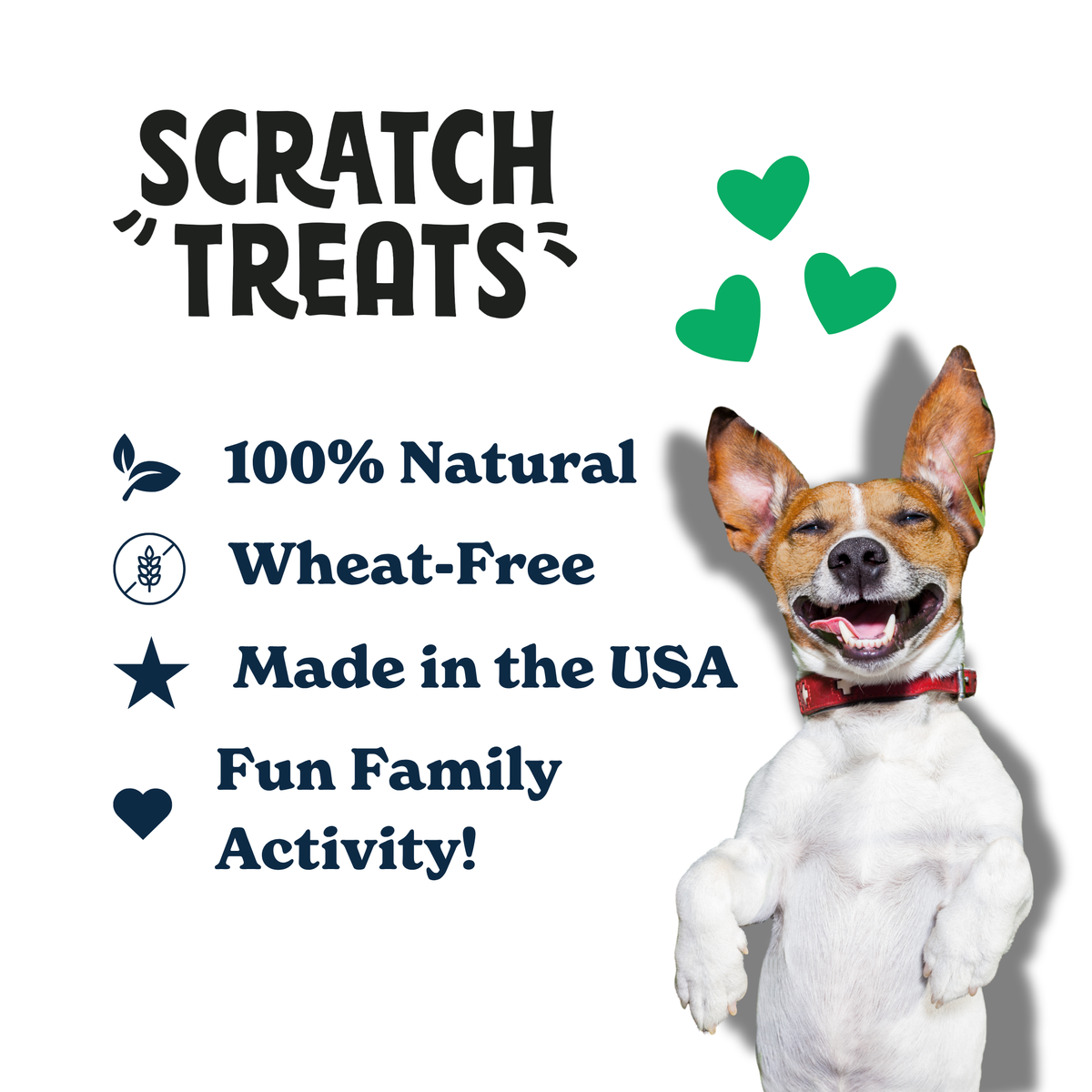 Graphic highlighting the healthy, all-natural ingredients in the Peanut Butter dog treat kit