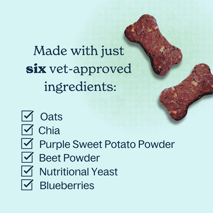 Purple Pup Bake-At-Home Dog Treat Kit